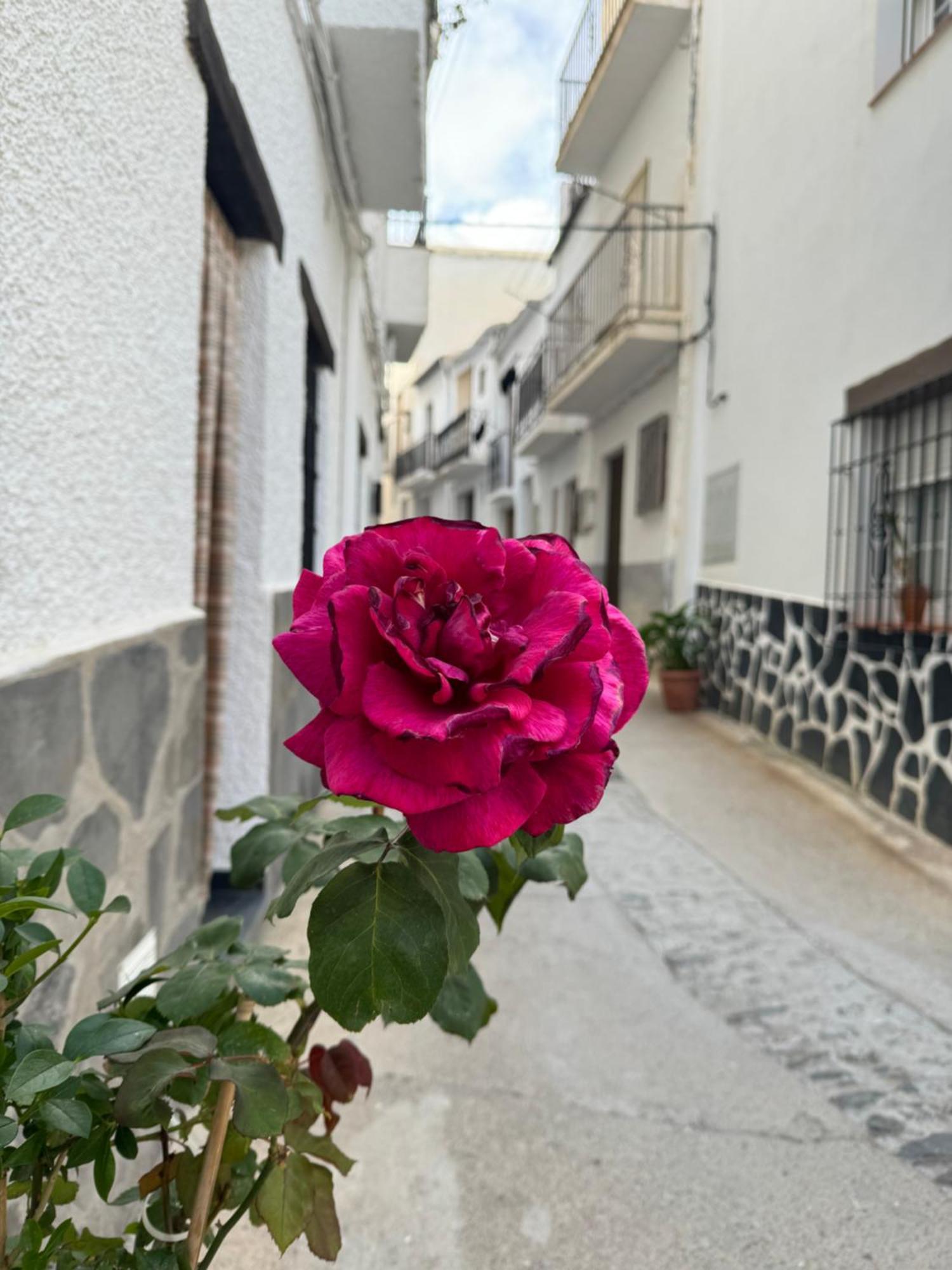Apartamento Rural Julio Trevélez 外观 照片